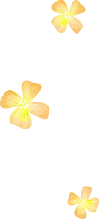 お花の飾り